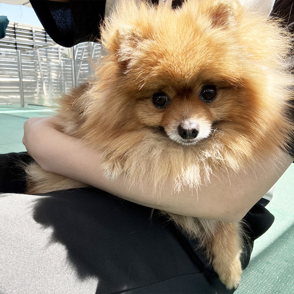 生徒が撮影してくれた写真♪①